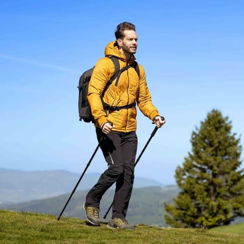 Meilleur baton de randonnée 