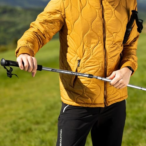 Meilleur baton de randonnée 