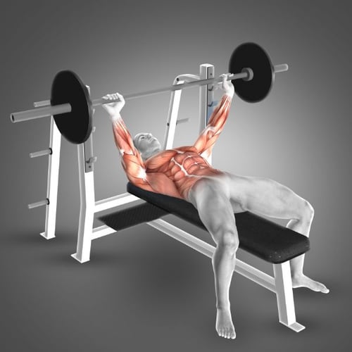 Développé Militaire