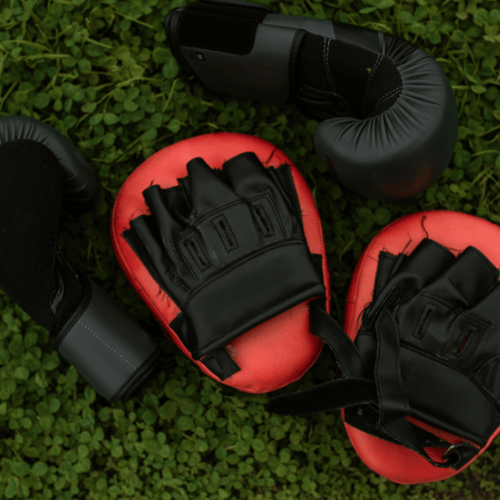 Savate boxe française