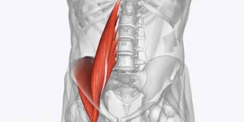 Étirement psoas : 5 exercices simples pour soulager vos douleurs