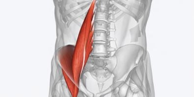 Étirement psoas : 5 exercices simples pour soulager vos douleurs