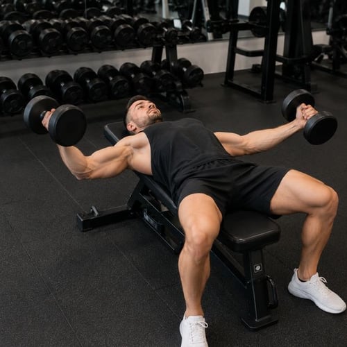 meilleurs exercices pectoraux