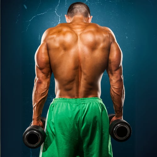 Un homme musclé effectue un shrug avec des haltères, sollicitant les muscles du dos