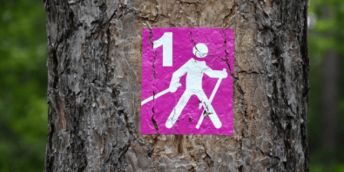 Marche nordique - comment pratiquer la marche nordique efficacement ?