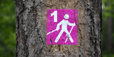 Marche nordique - comment pratiquer la marche nordique efficacement ?