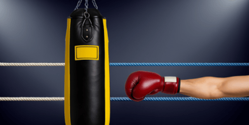 Boxe chinoise Sanda - débuter et choisir le bon équipement