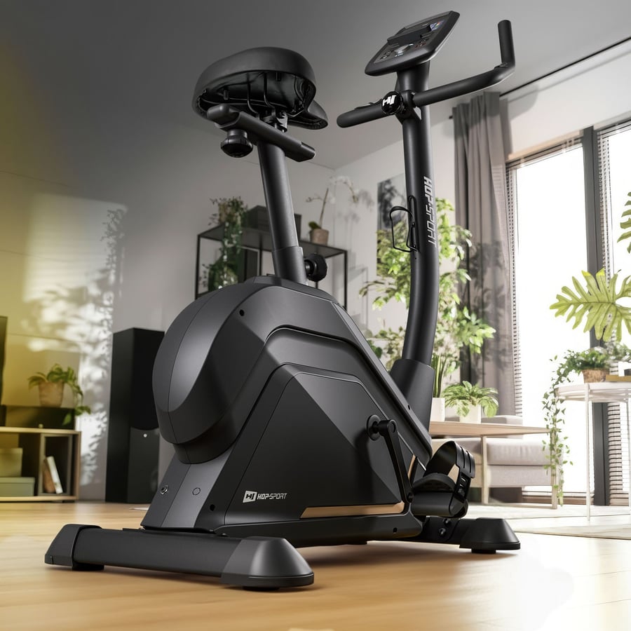 Rower elektryczno-magnetyczny H - 6