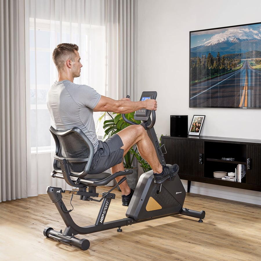 Rower elektryczno-magnetyczny H