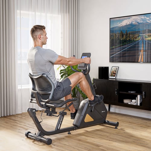 Rower elektryczno-magnetyczny H