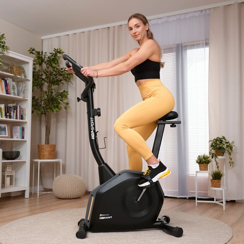 Rower magnetyczny HS-4000H Gran