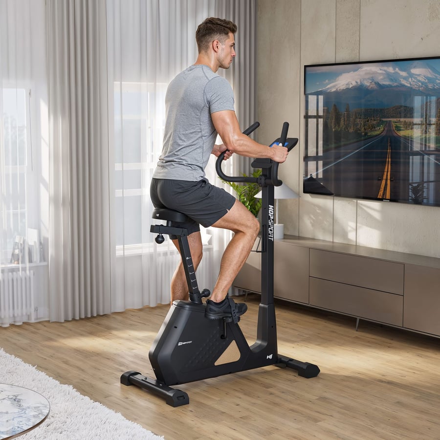 Rower elektryczno-magnetyczny H