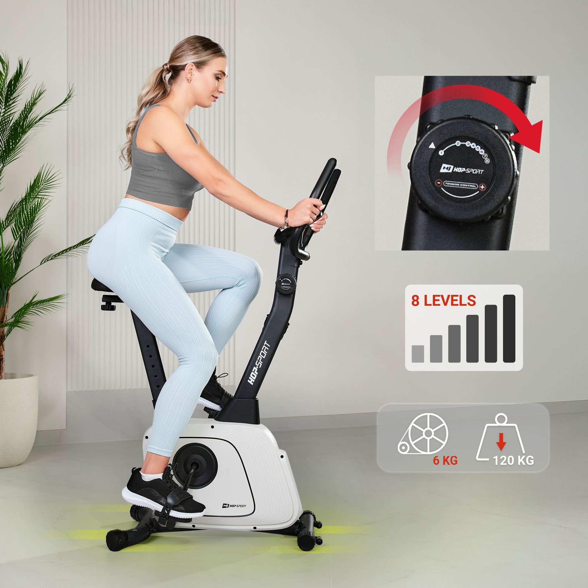 Système de freinage magnétique du vélo d'appartement