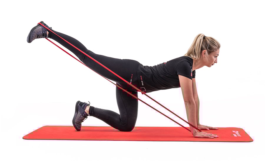 d2d843ee-20ec-446e-91b4-de67112