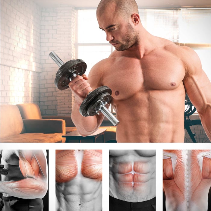 Set complet d’haltères Hop-Sport 2 × 10 kg pour home gym, curls, développés, squats, rowing et soulevés de terre
